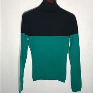 Garnet Hill Colorblock Cashmere Turtleneck Sweater